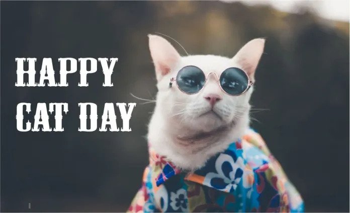 International Cat Day Meme